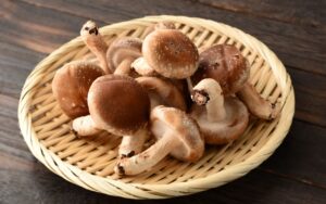 Nấm đông cô giá bao nhiêu và mua ở đâu?