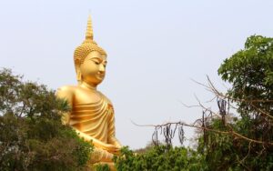 Mừng lễ Phật Đản – Cách chúc mừng và ý nghĩa