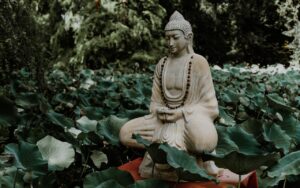 Lễ Phật Đản năm nay – Những sự kiện và chương trình nổi bật